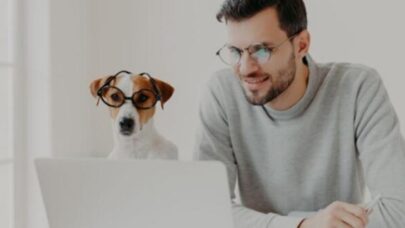 « Emmenez votre chien au travail » : la tendance des bureaux ouverts aux animaux domestiques en plein essor aux Etats-Unis