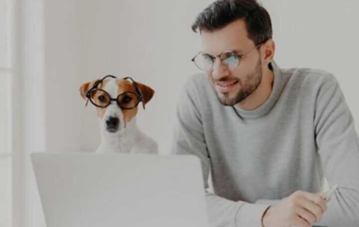 « Emmenez votre chien au travail » : la tendance des bureaux ouverts aux animaux domestiques en plein essor aux Etats-Unis