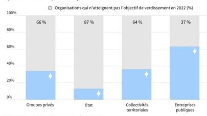 Verdissement des flottes auto : 66% des sociétés et 87 % des services de l’État ne respectent pas leurs obligations, selon l’ONG Transport & Environnement
