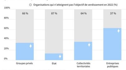 Verdissement des flottes auto : 66% des sociétés et 87 % des services de l’État ne respectent pas leurs obligations, selon l’ONG Transport & Environnement